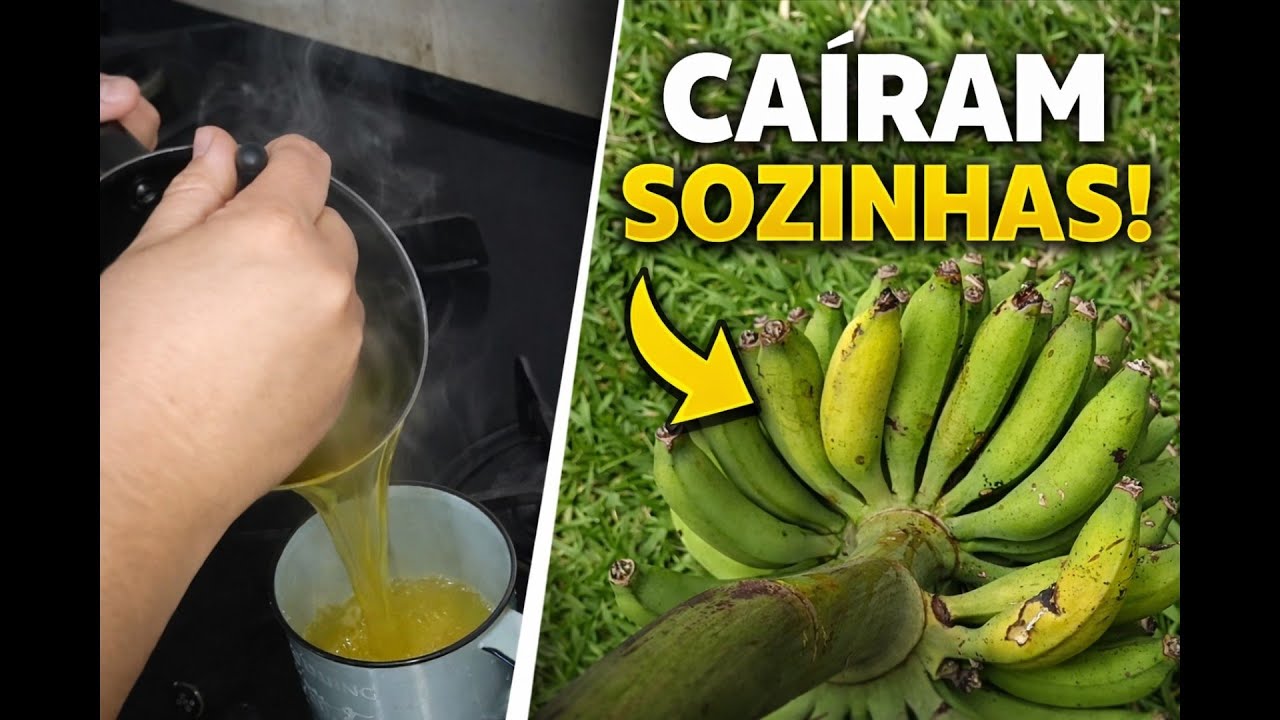 Como Fazer Chá de Limão com Mel para Gripe 🍋 | Bananas Caíram na Roça