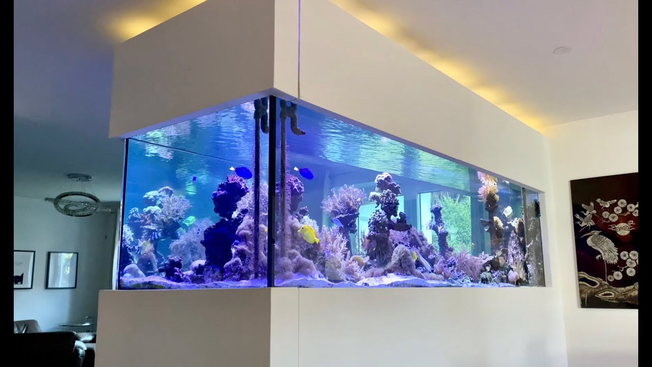 GERMAN REEF TANKS - 3 Tonnen Meerwasseraquarium - easy corals - 2500 Liter - ultra HD #aquarium