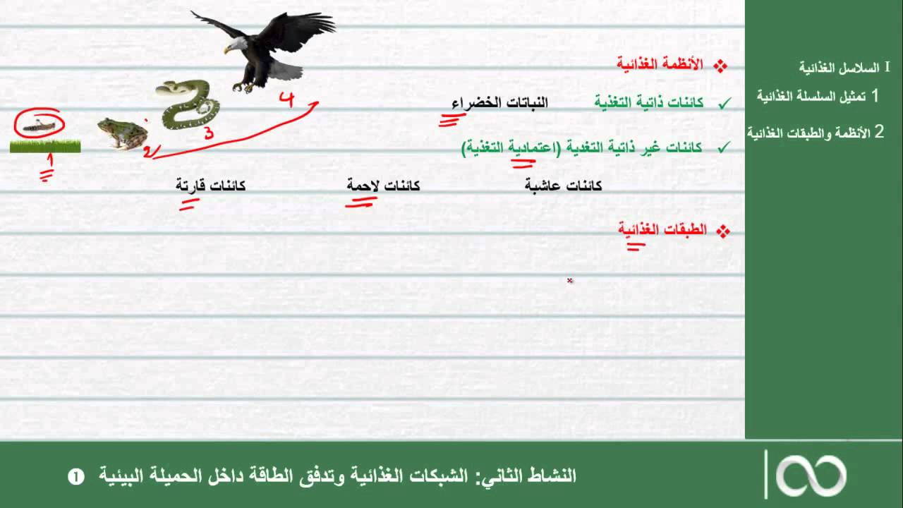 الجذع المشترك العلمي  |  الحصة 25: الشبكات والسلاسل الغذائية