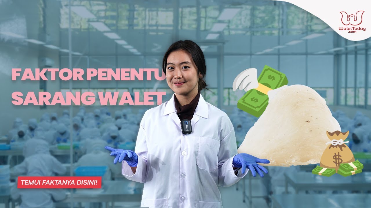 Faktor Faktor Penentu Harga Sarang Burung Walet