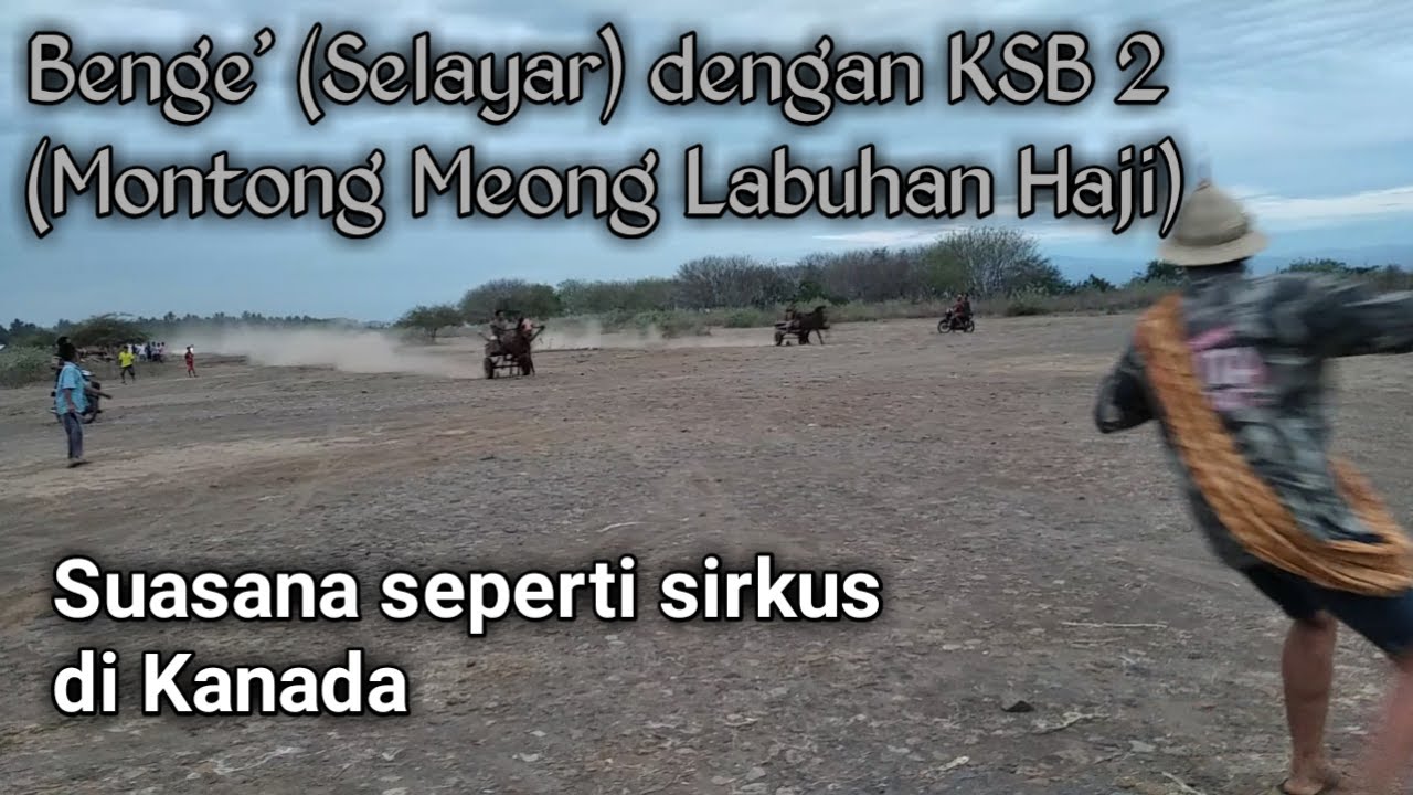 lintasan berdebu balap kuda seperti disirkus