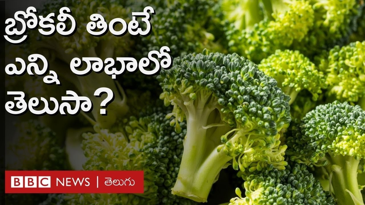 Broccoli:  బ్రోకలీ తినేవారిలో అసాధారణ మార్పులు, అధ్యయనంలో ఏం తేలిందంటే..