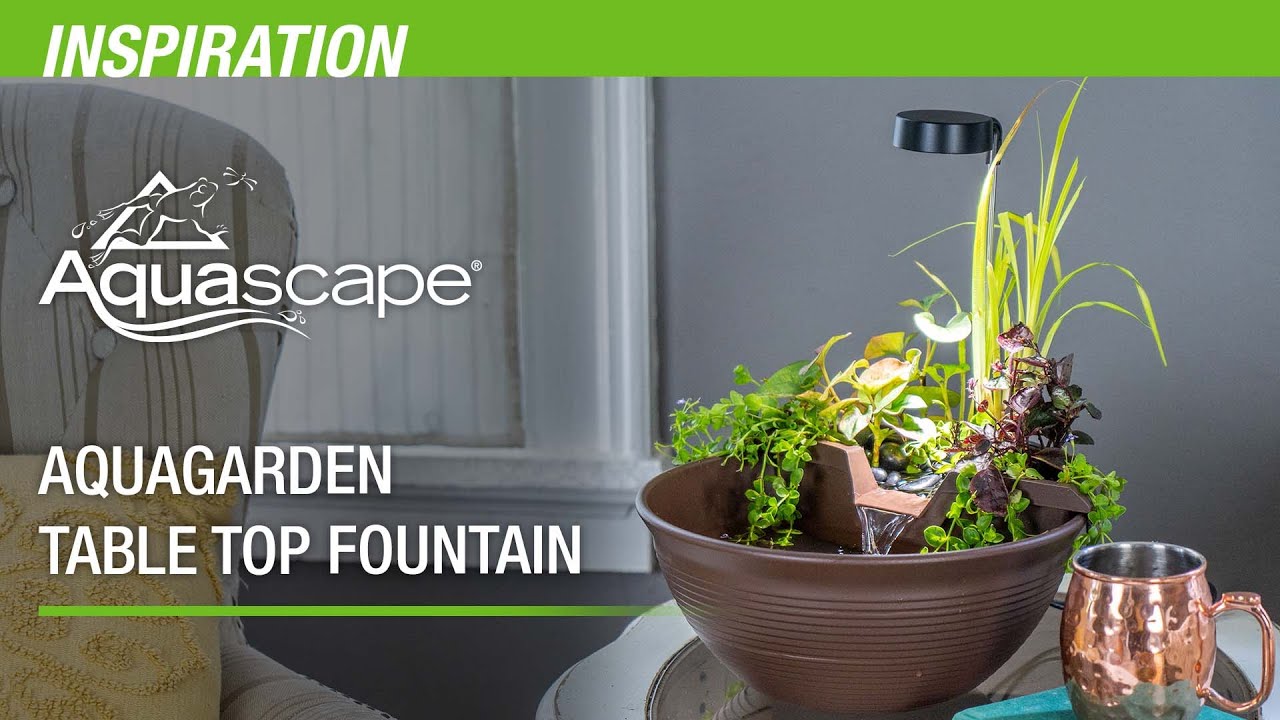 Create Your Own Mini Pond with the AquaGarden Tabletop Fountain Kit!!