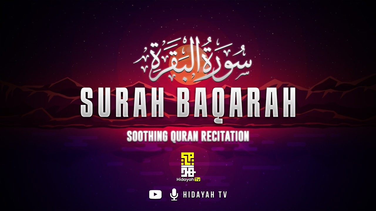 Surah Al-Baqarah سورة البقرة | Complete Quran Tilawah | Mohamed Hesham القارئ محمد هشام | Hidayah Tv