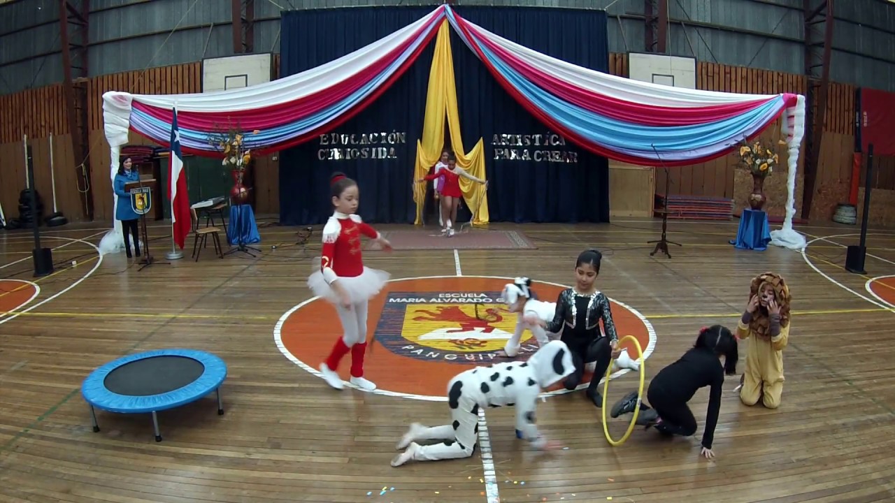 Fantasía de Circo Colegio Maria Alvarado Garay