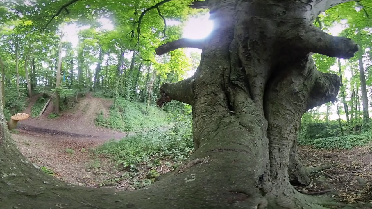 HumanEyes Vuze camera 360 video sample