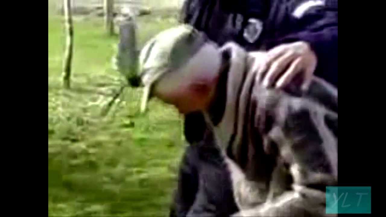 Epic best fails of the week 2012 ll YLT