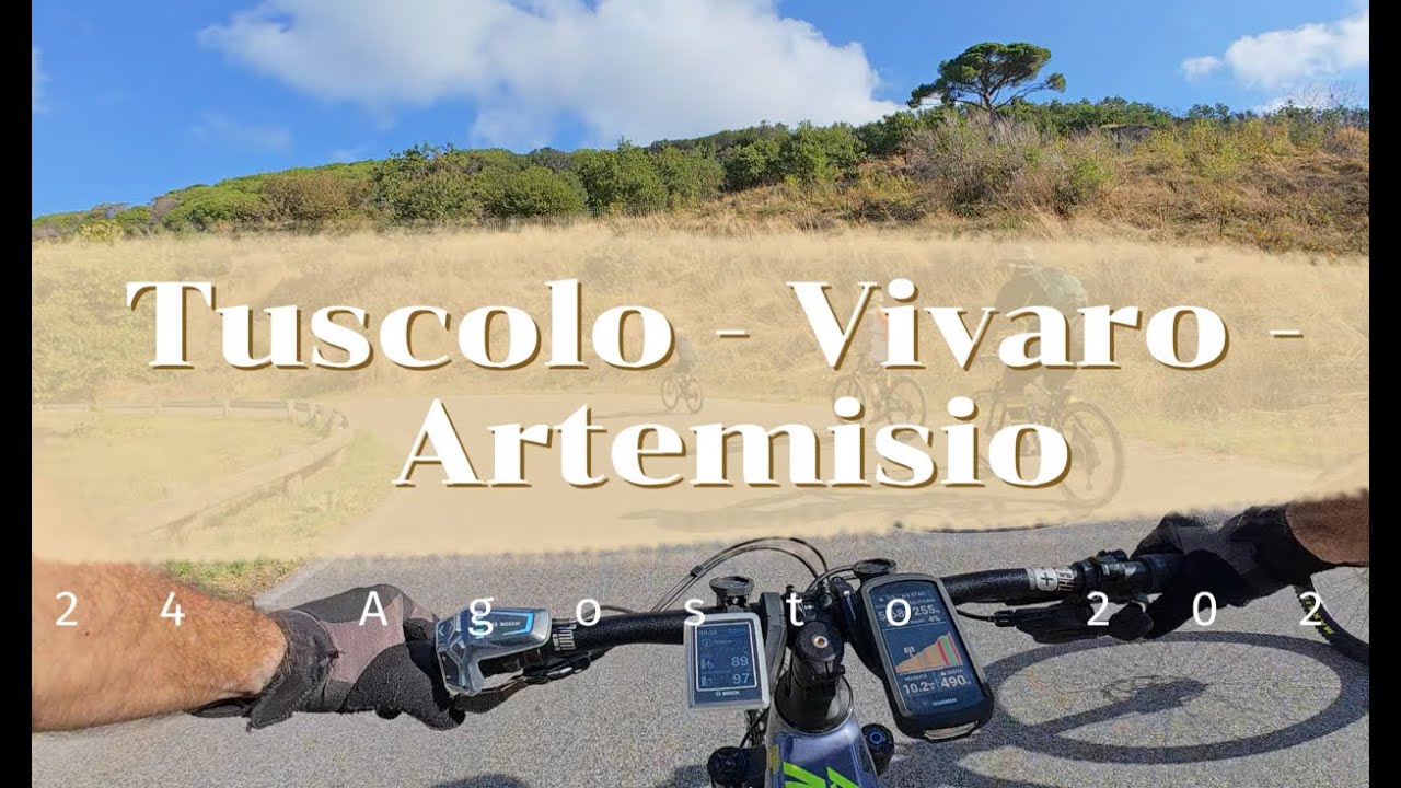Tuscolo - Vivaro - Artemisio