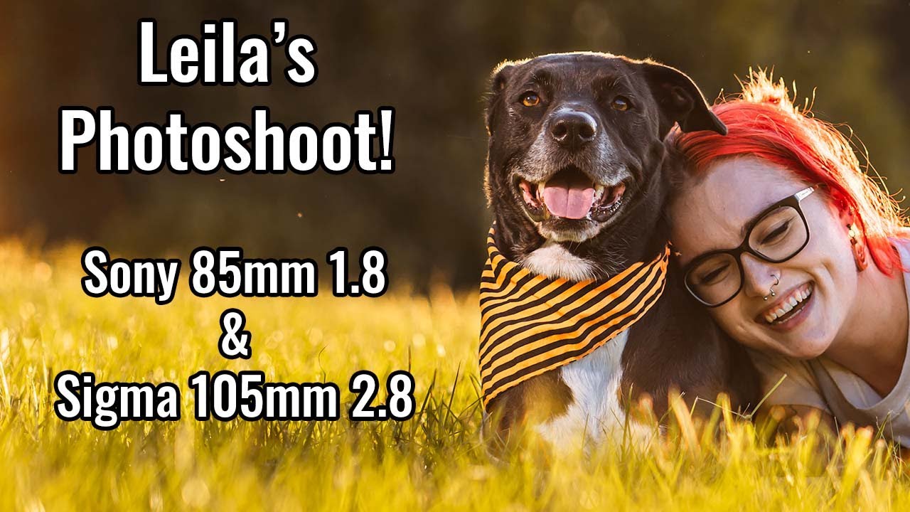 Photographer's Dog Photoshoot - Sony 85mm with outdoor flash