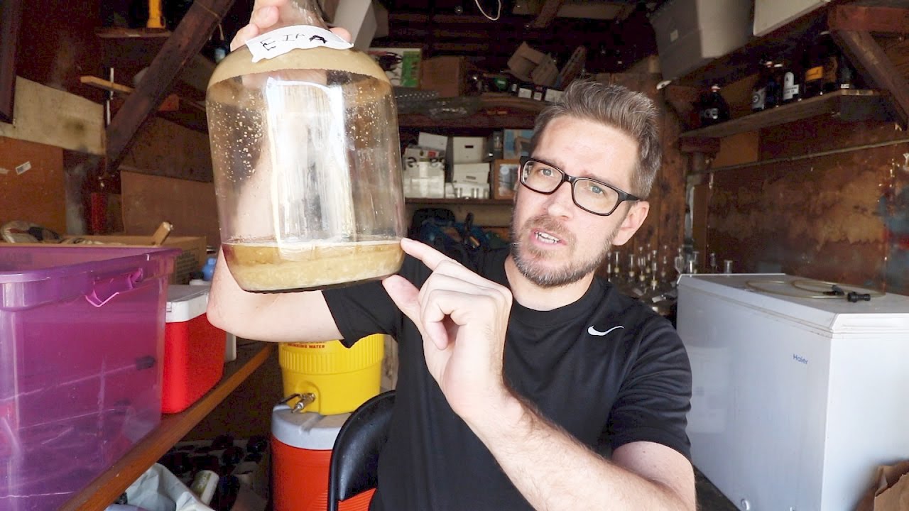 How to Harvest Yeast for Reuse