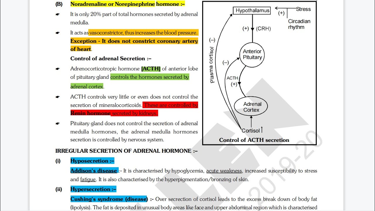 Endocrine system | Part 2 | Chemical Coordination and Integration | Lets Crack MDCAT | Guidelines