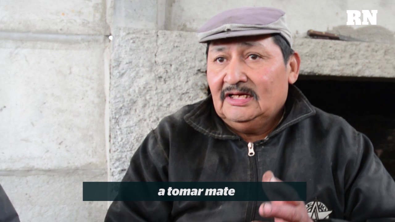 Coco cocinero de esquila
