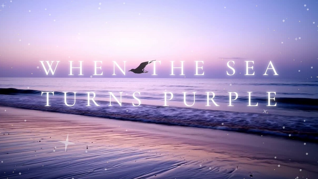 When the Sea Turns Purple | 5 Hours of Ambient Music & Ocean Waves