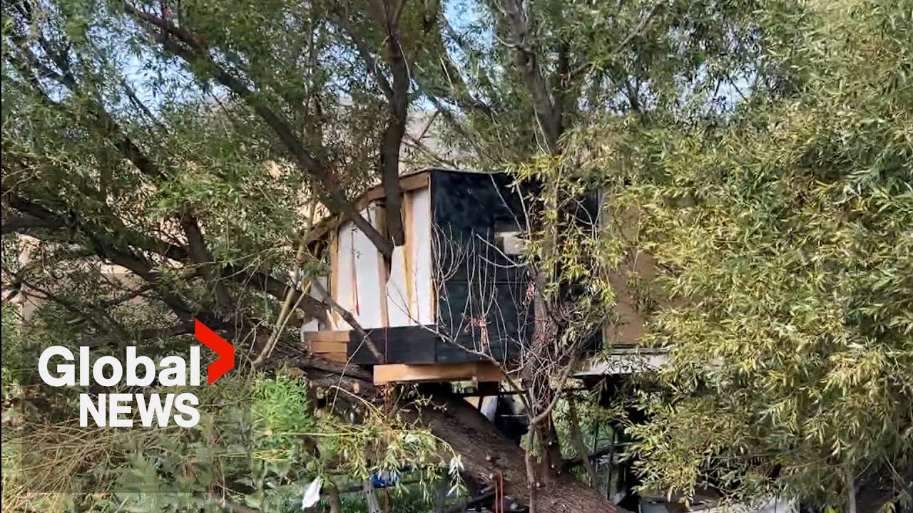 Homeless encampment treehouse drawing attention in Vernon, BC