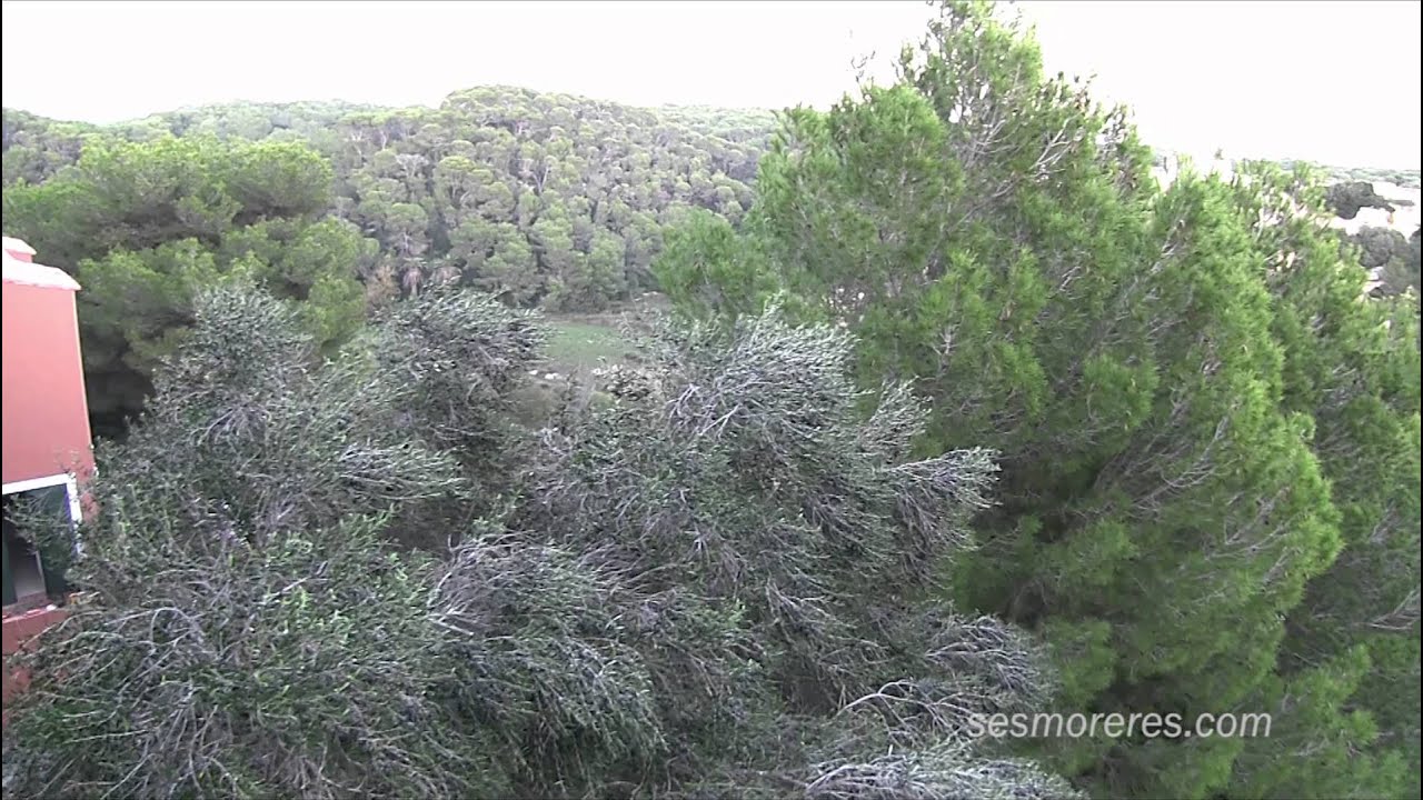 Menorca: Amplio apartamento tipo duplex en Cala Galdana