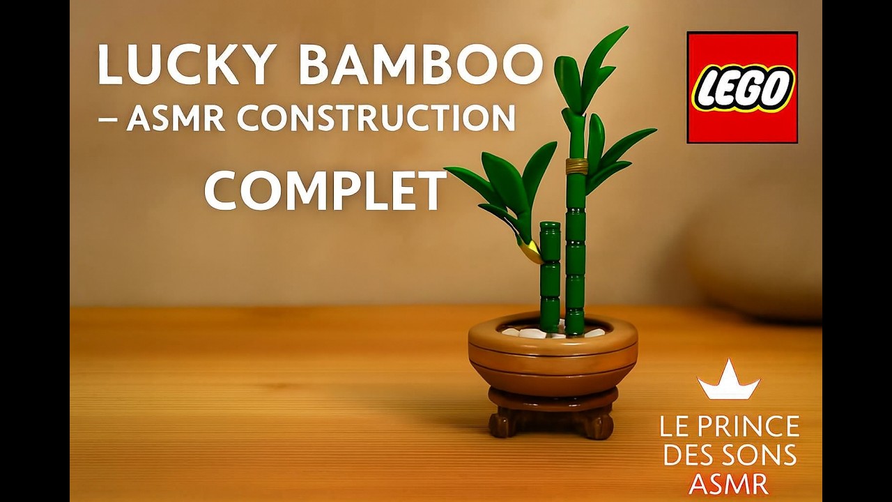 ASMR 👑 LEGO Construction « no talking » - Lucky Bamboo 10344 complet ✨