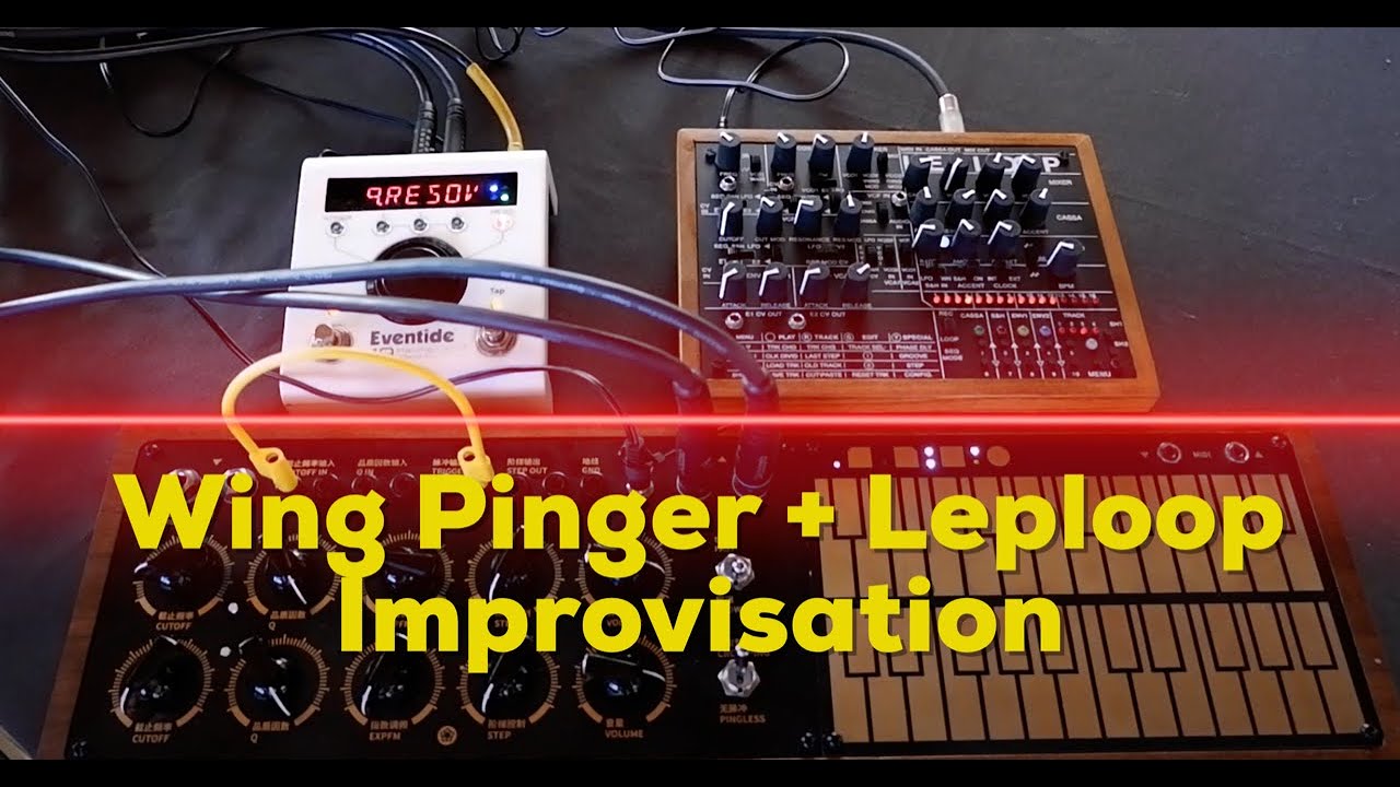 Wing Pinger Leploop Live Improvisation
