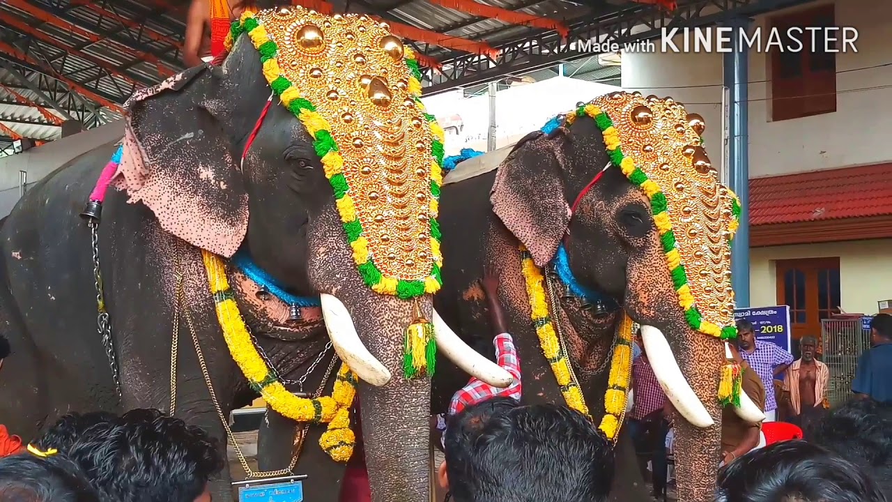 Kadungalloor Temple Ulsavam 20 April 2018