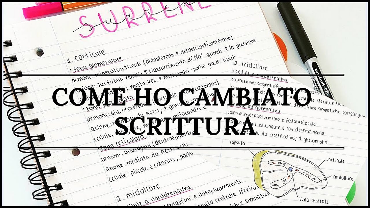 COME CAMBIARE  SCRITTURA | SCRIVERE BENE !