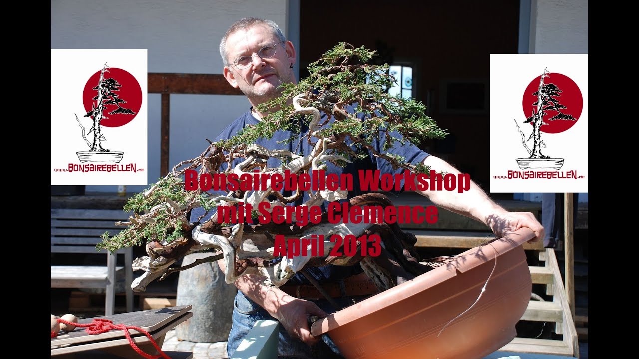 Bonsai Workshop Gestaltung Bonsairebellen Serge Clemence 2013