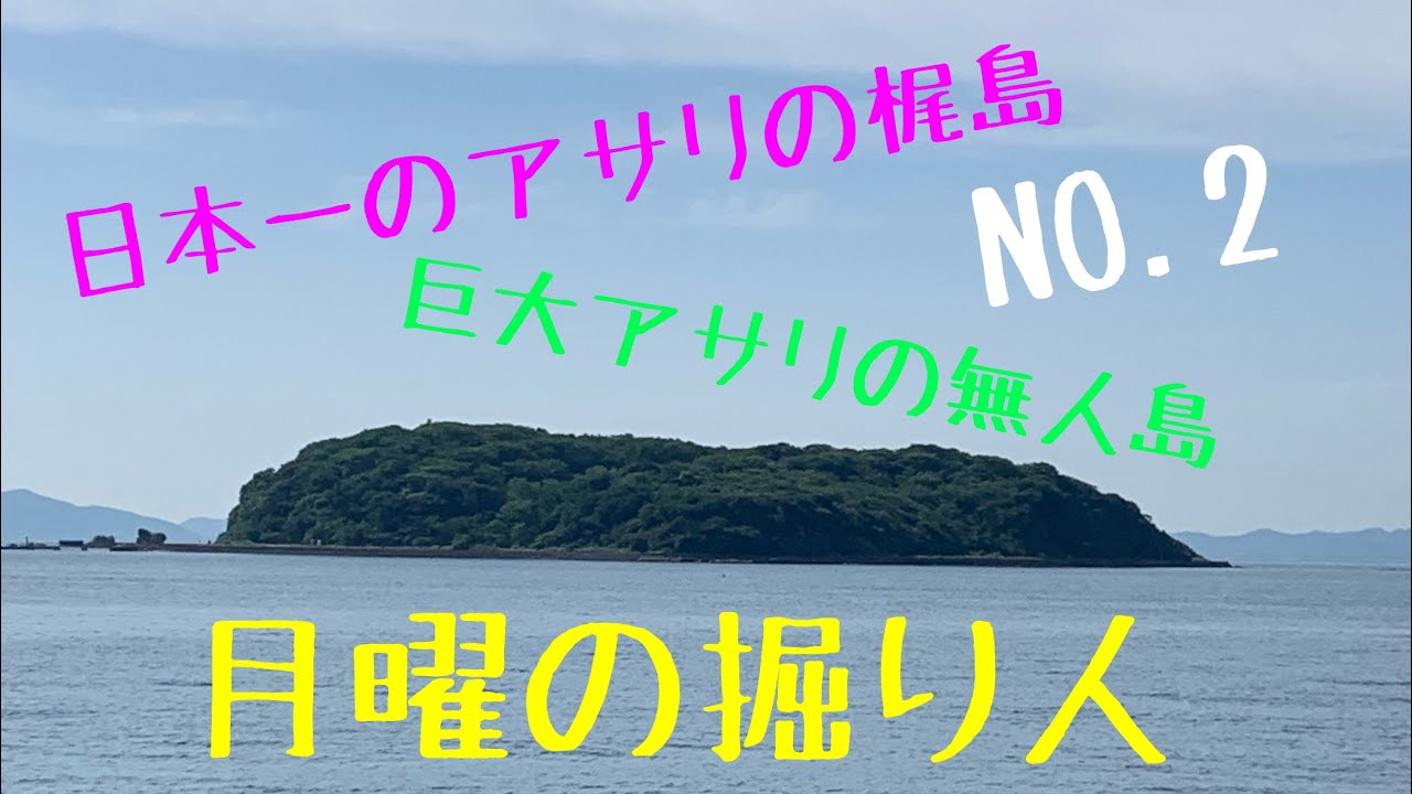 日本一の梶島アサリを獲ってきた！『特大５センチを狙う』2023年5月22日