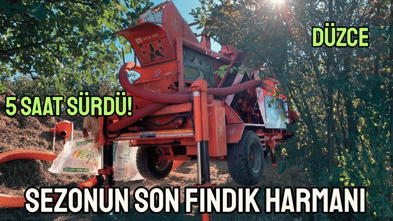 ÜFLEME MOTORUYLA TOPLANAN FINDIK PES DEDİRTTİ! 5 Saat Süren Fındık Patozu
