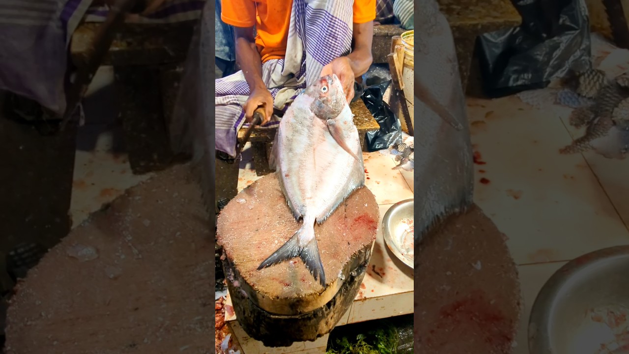 Sharp Knife, Faster Hands! black pomfret Fish Cutting in Bangladesh