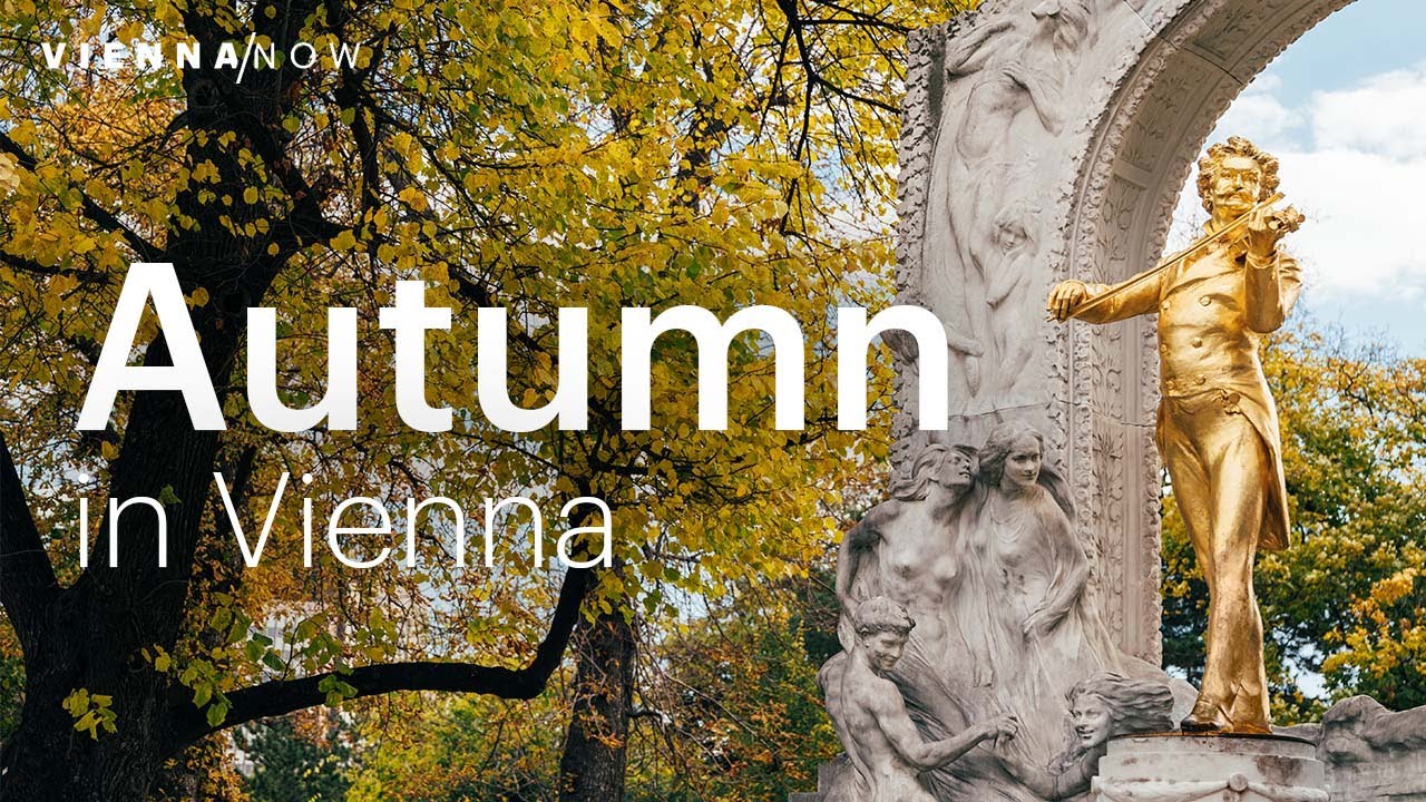 5 Reasons to Visit Vienna in Autumn