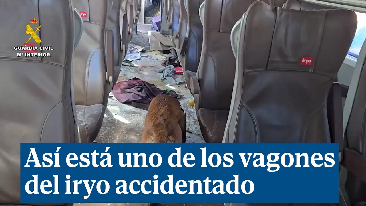 Los perros de la Guardia Civil buscan evidencias entre las pertenencias de los viajeros
