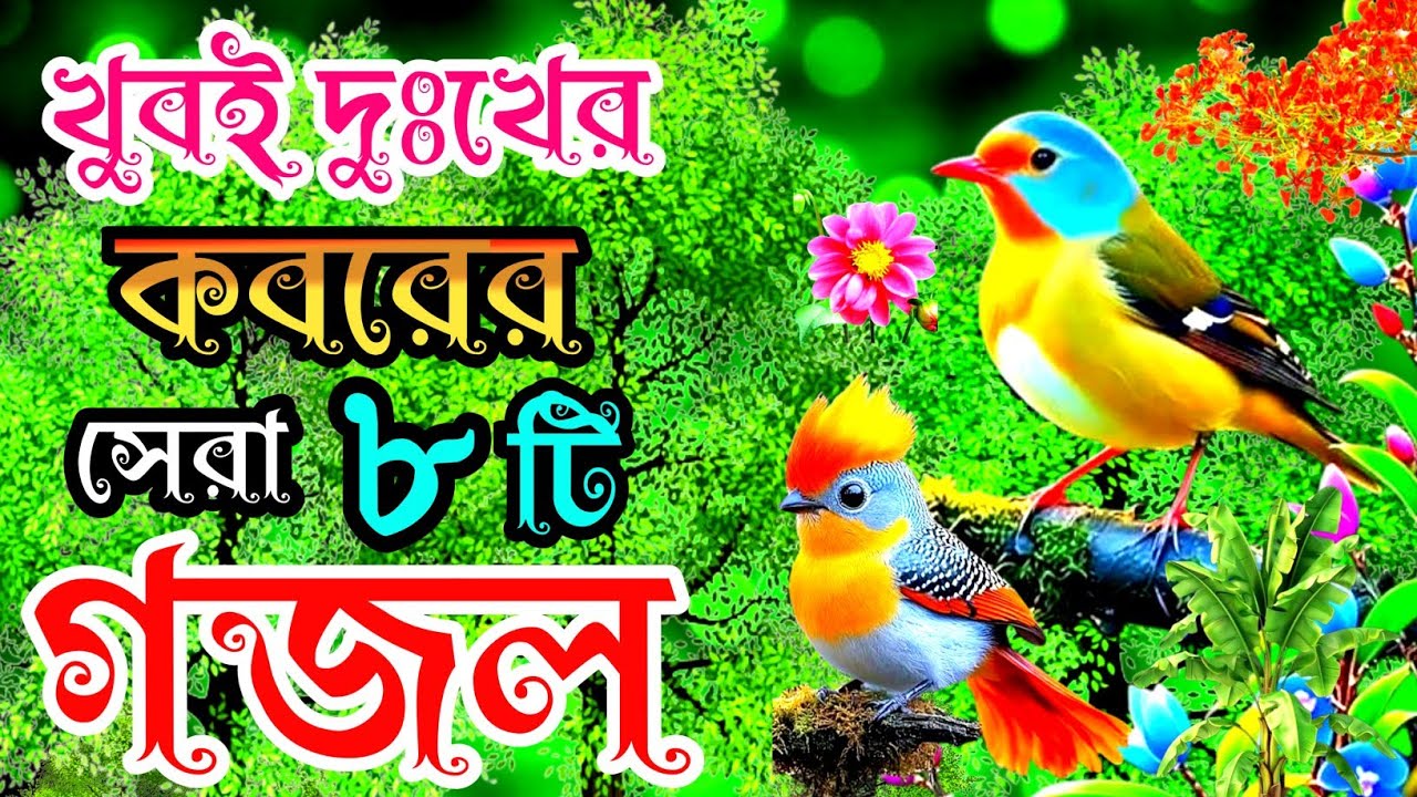 খুবই দুঃখের কবরের শেষ বিদায়ের কষ্টের মন প্রাণ জুড়ানো সেরা ৮টি গজল | New Islamic Best Song |🔥 Gojol