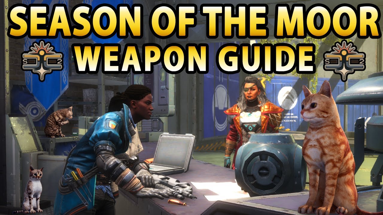 Season Of The Moor GOD ROLL Breakdown | Best Perk Combos to Chase!