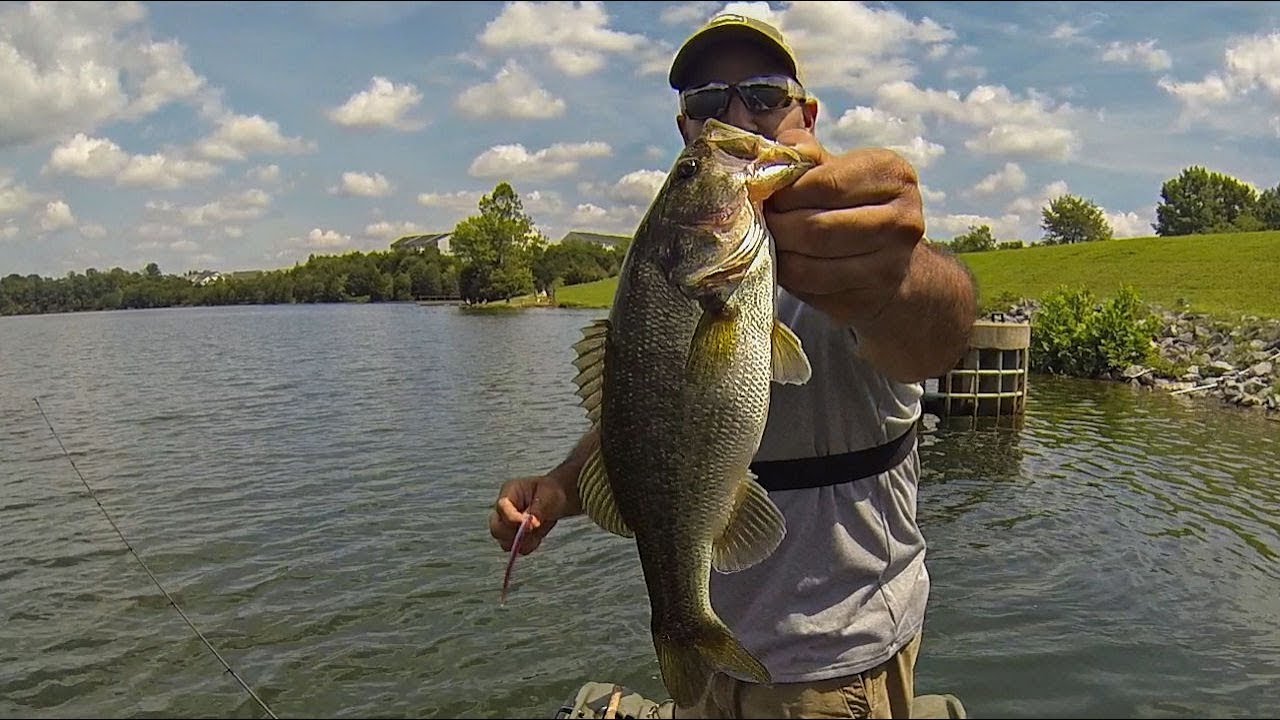 Summer Bass Fishing a New Lake!!! (Lake Frederick, VA)