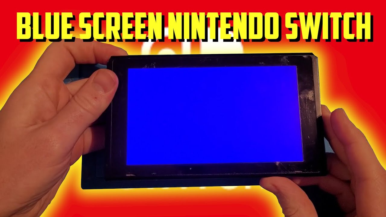 Blue Screen of death | Nintendo Switch repair