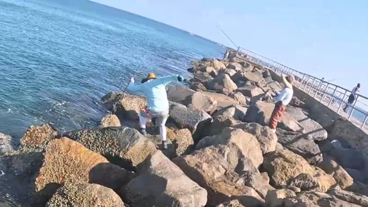A quick fishing trip to the jetty turned into this!