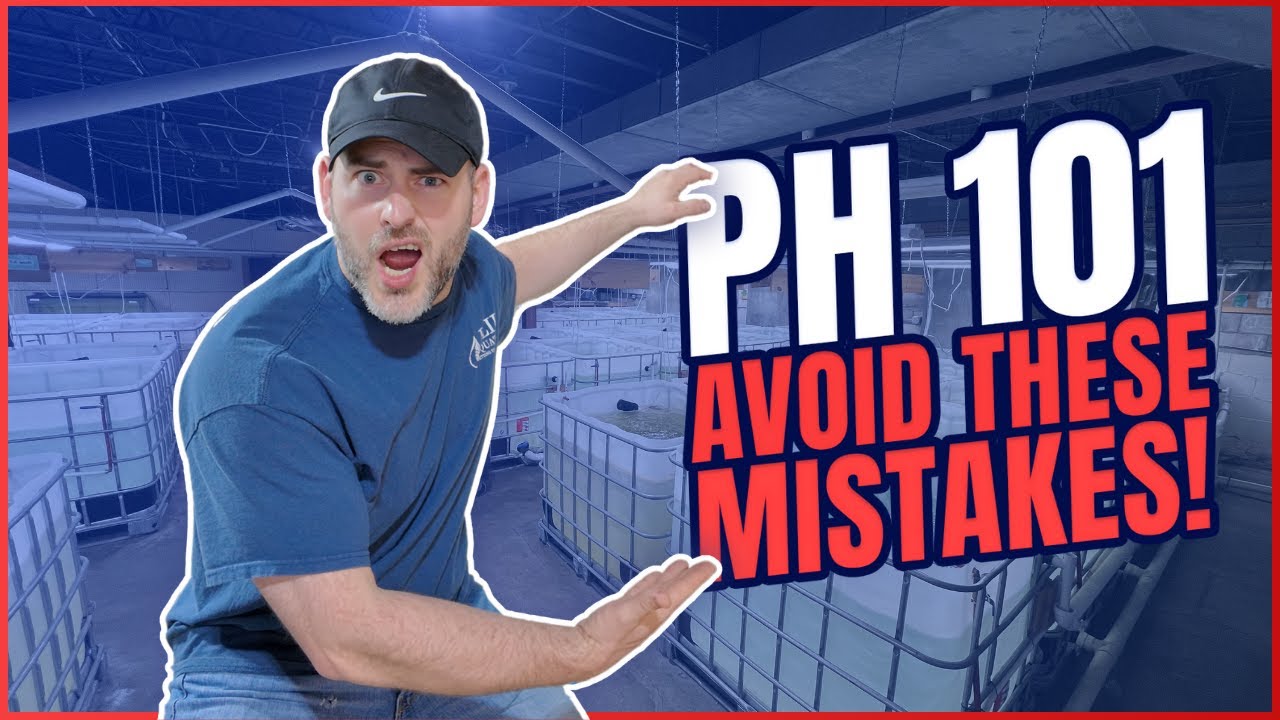 Lowering pH in an Aquarium for Shrimp | How and Why [Shrimp Saturday]