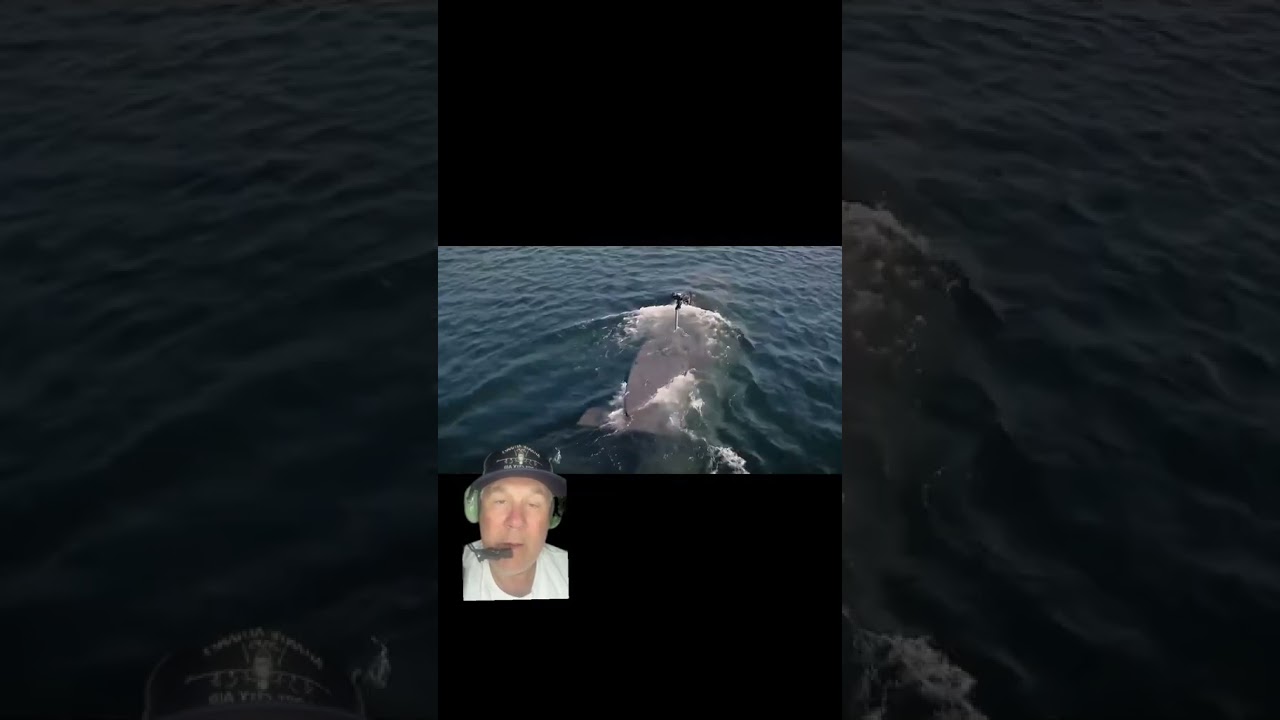 Navy SEAL’s New Go-Fast Boat