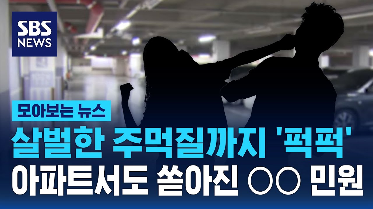 살벌한 주먹질까지 '퍽퍽'…아파트서도 쏟아진 ○○민원 / SBS / 모아보는 뉴스
