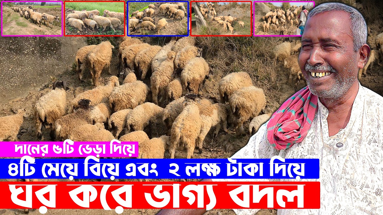 দানের ৫টি ভেড়া দিয়ে ৪টি মেয়ে বিয়ে এবং ২ লক্ষ টাকা দিয়ে ঘর করে সফল খামারী || Soha Agro - সোহা এগ্রো