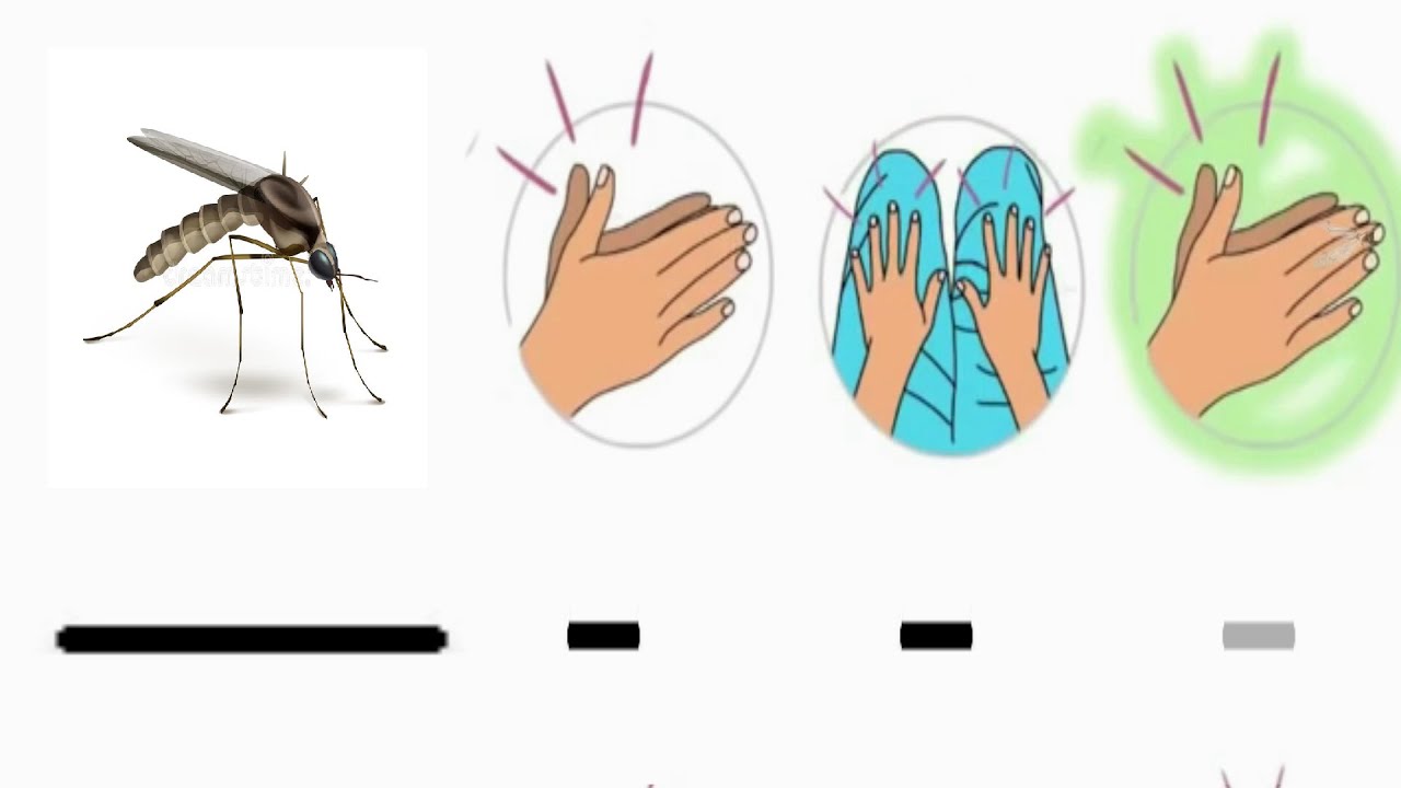 Duración del sonido - Atrapá al mosquito - Sonidos largos y cortos