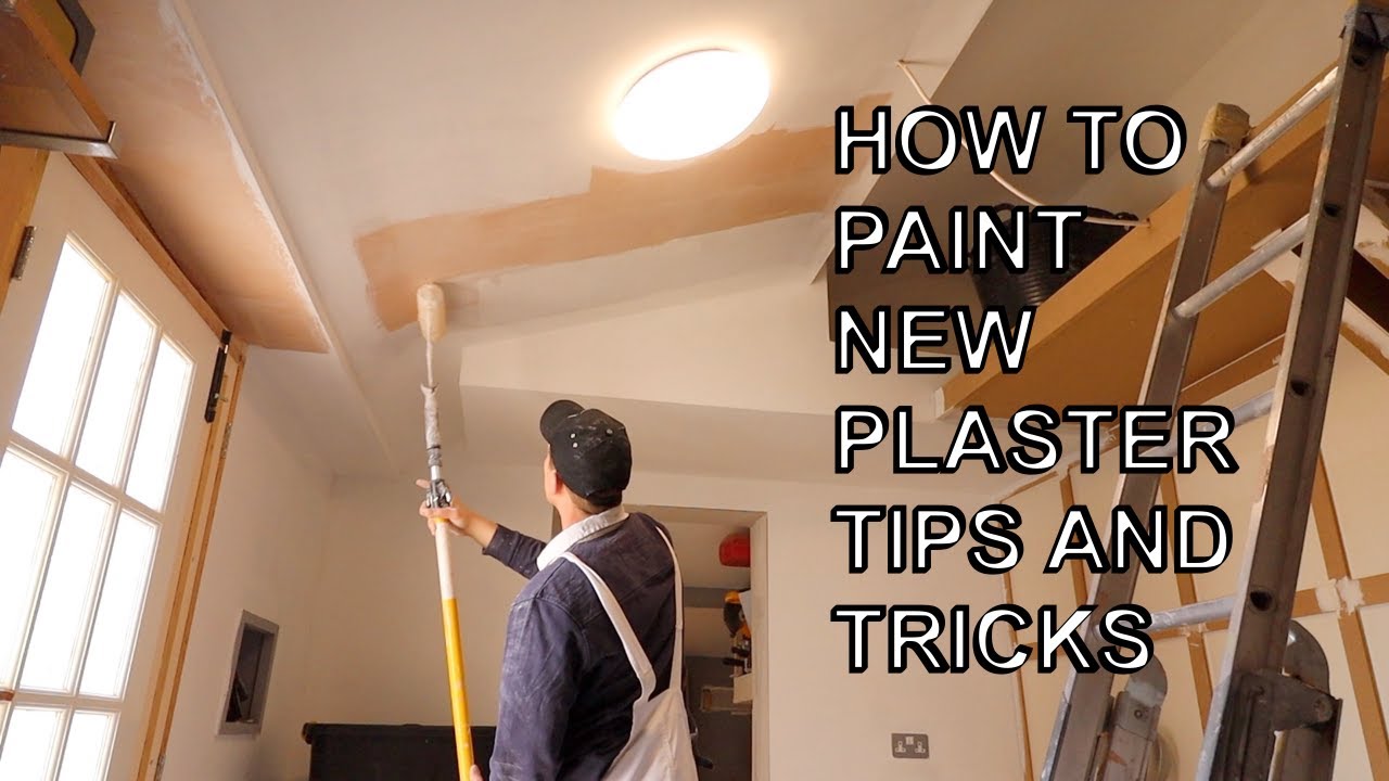 Beginners guide on how to paint over new plaster in 2025.