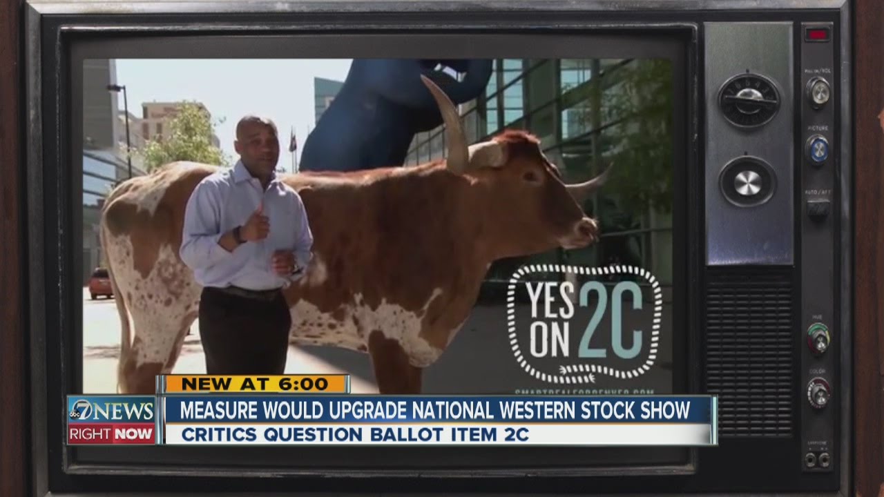 Denver's ballot measure 2C: What you need to know