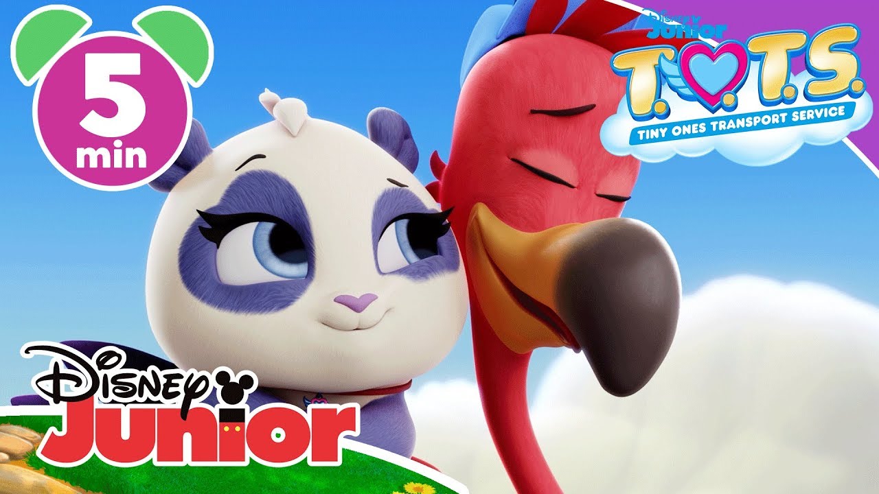 T.O.T.S. | Learning Baby Animals 🐣 | Disney Kids