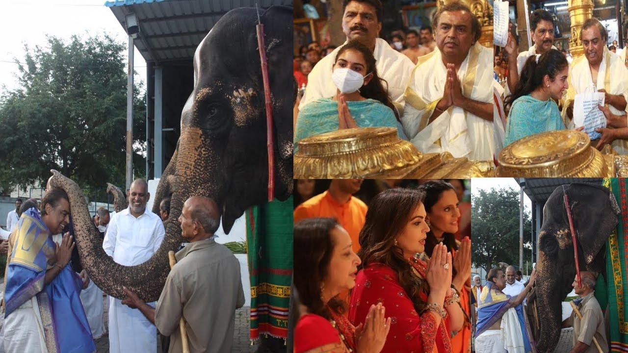 Mukesh Ambani's grand entry at Guruvayur Shri Krishna Temple & donates highest amount to Kerala