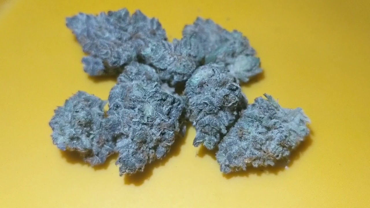 White Buffalo 🐃 Trulieve ⚕️ Florida Medical Marijuana Review of White Buffalo Vaped w/Davinci IQ