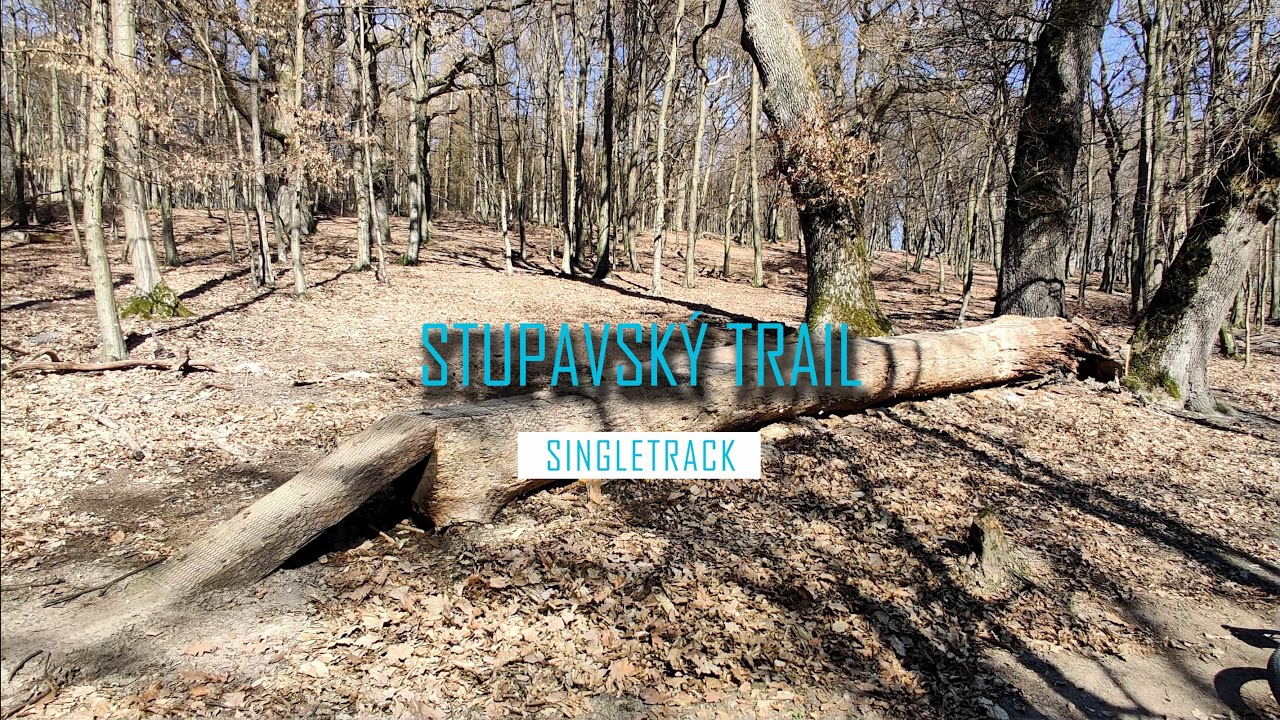 Stupavský singletrail / Bikepark Malé Karpaty / Tip na bike / MTB singeltrack / GoPro Hero 9 / 4K /