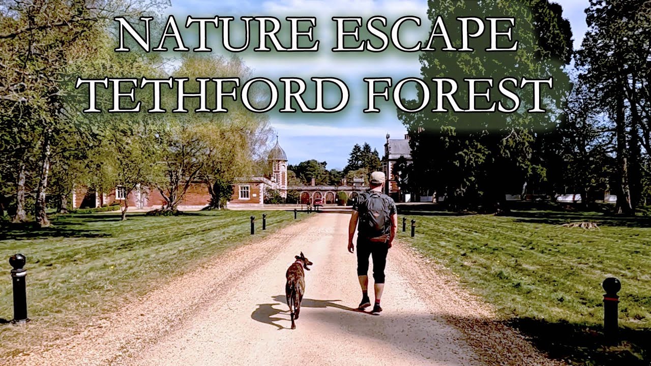 Thetford Forest - Woodland Walks, Cold Water Swim & Archery Adventure
