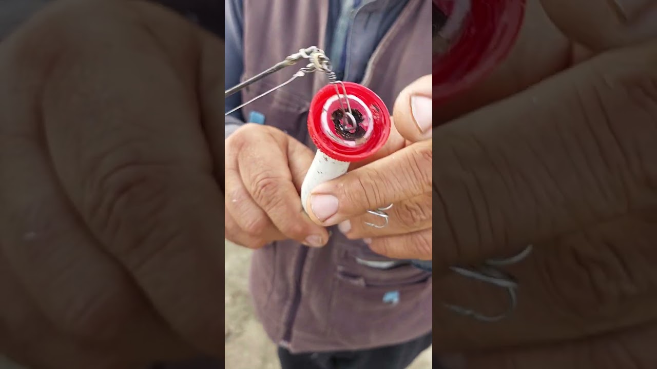 BİRG&Uuml;N LAZIM OLUR BU BİLGİ