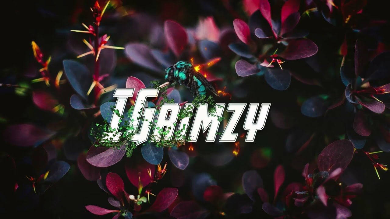 Supreme Crown Trap Instrumental Type Beat | IGrimzy Beats