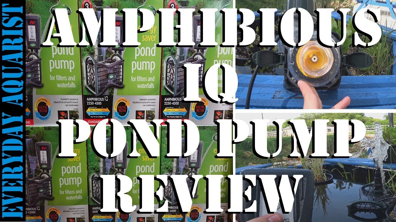 Best Energy Saving Pond Pump | Blagdon Amphibious IQ Review
