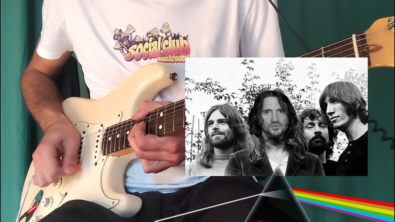 If John Frusciante played in Pink Floyd